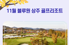 11월 뉴스레터 관련이미지